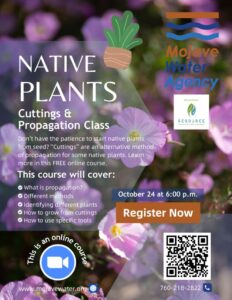 thumbnail of Native Plants Cuttings & Propagations Class